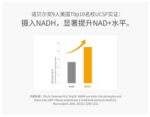 中秋送禮新風尚 NMN與NADH等科技健康產品走紅的背后